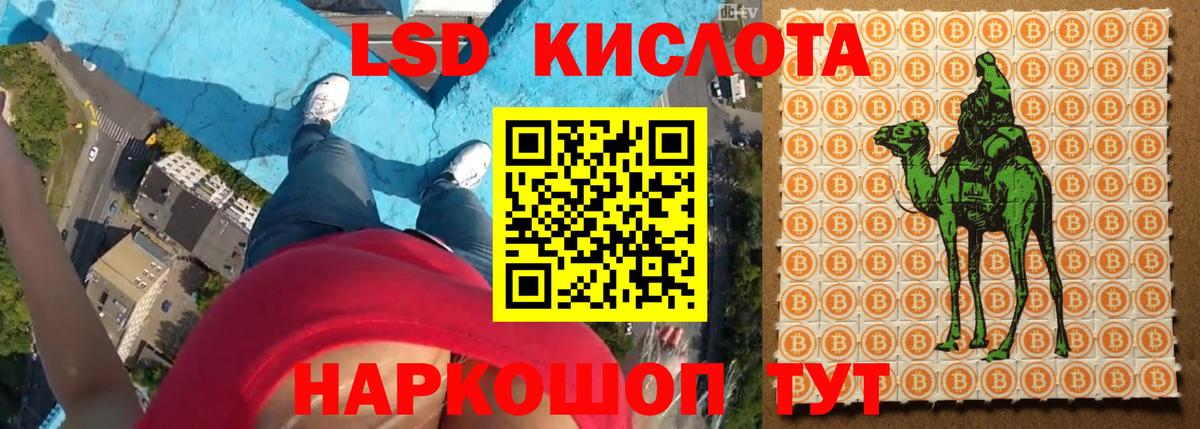Новосибирск  Лсд 25 экстази кислота  ЛСД экстази  Вход с VPN  ЛСД экстази кислота 