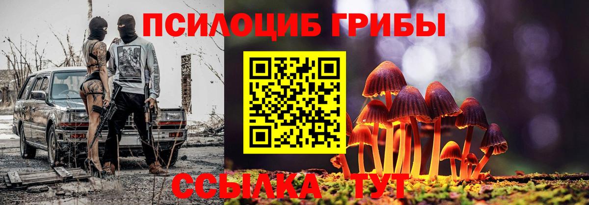 Новосибирск  Псилоцибиновые грибы Psilocybine cubensis  Вход с VPN  Псилоцибиновые грибы Magic Shrooms 
