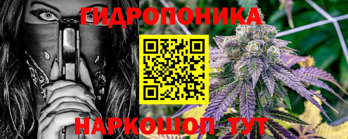 МАРИХУАНА конопля Новосибирск